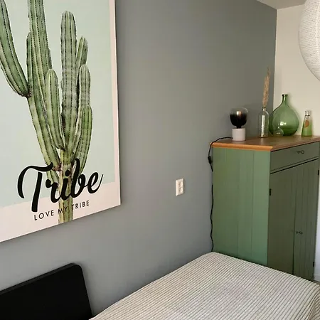 Schelpenpad 公寓 海边的艾格蒙特