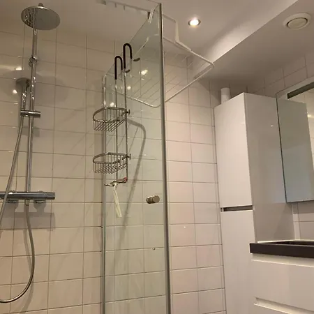 公寓 Schelpenpad 海边的艾格蒙特